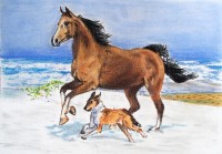 /album/zvieratka-suchy-pastel/obraz-132-jpg/